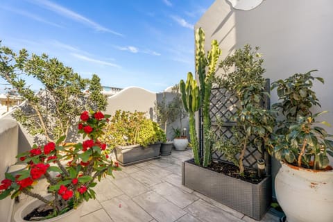 Oasis Suites Fira Hotel in Thera