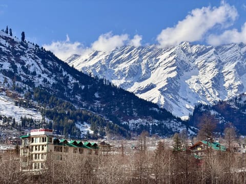 Property view