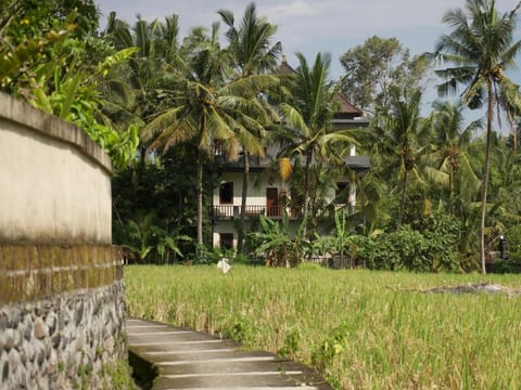 Eden House Ubud Bali Bed and Breakfast in Ubud