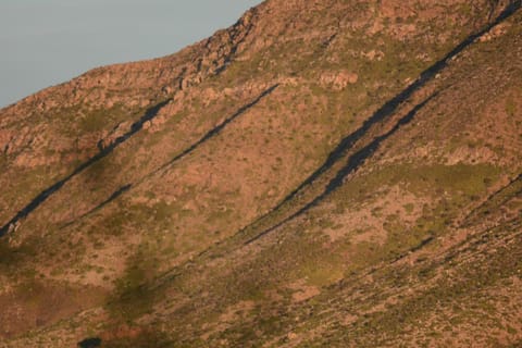 Travellers Rest Bed and Breakfast in Western Cape