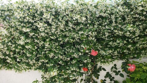 Vila Renato Ksamil Apartment in Ksamil