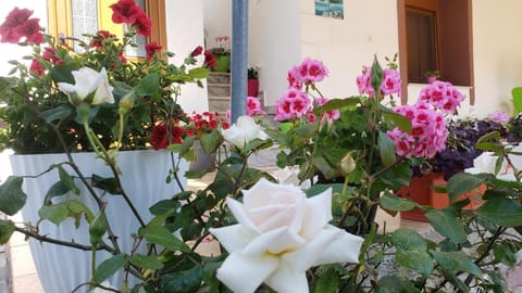 Vila Renato Ksamil Apartment in Ksamil