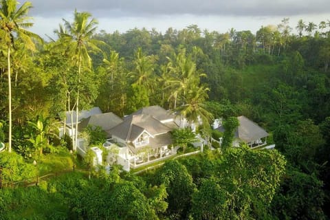 Cloud Nine Estate Villa in Ubud