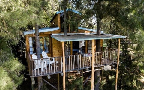 Vindoux Tree House Guest Farm & Spa Bed and Breakfast in Western Cape