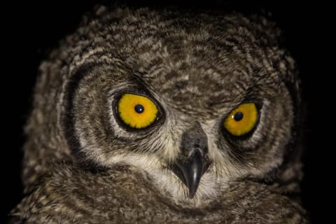 Kwetu Guest Farm Farm Stay in Western Cape