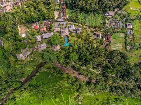 Permata Ayung Private Estate Villa in Abiansemal