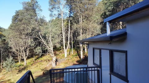 Cradle Alpine Retreat Bed and Breakfast in Tasmania