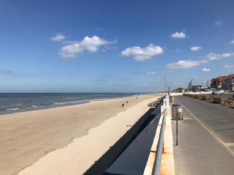 Villa Fétuque Crin d'Ours à Merlimont Villa in Hauts-de-France