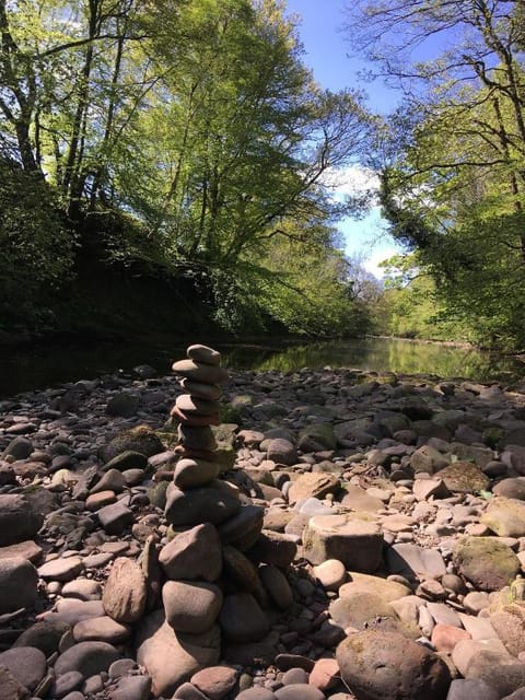 Broomhills Farm River Eco Pods Farm Stay in England