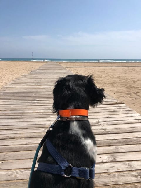 Hugo Beach Hotel & Apartments Hotel in Gandia