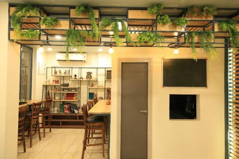 Blue Beds Hostel in Jaipur