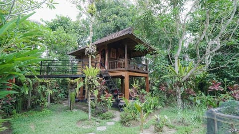 Bali Firefly BnB Bed and Breakfast in Abiansemal