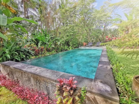 Bali Firefly BnB Bed and Breakfast in Abiansemal