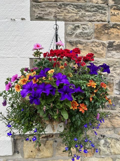 Shaftoe's Bed and Breakfast Bed and Breakfast in England