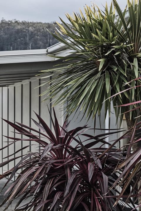 Salt Shack | coastal charm, steps from the surf Vacation rental in Bicheno