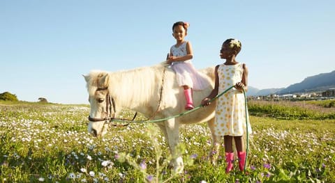Lighthouse Farm Lodge Hotel in Cape Town