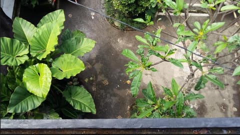 Manik House 1 Vacation rental in Ubud