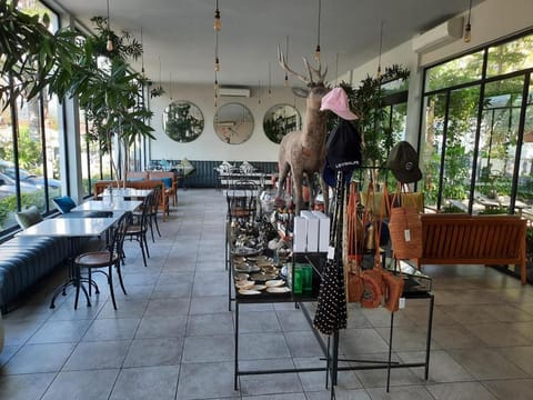 Lovina life Room & Cafe Hotel in Buleleng