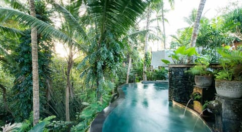 Ubud Tropical Hostel in Ubud