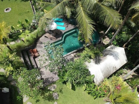 Ubud Tropical Hostel in Ubud
