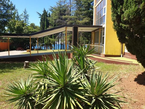 Hostel Pinesta Hotel in Novigrad