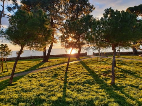 Hostel Pinesta Hotel in Novigrad