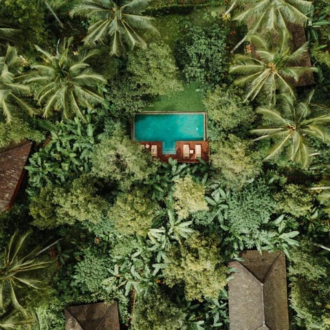 Clove Tree Hill Resort in East Selemadeg