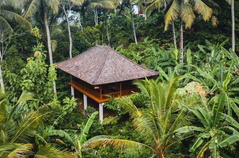 Clove Tree Hill Resort in East Selemadeg