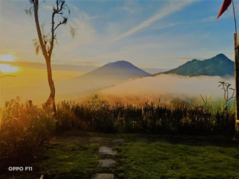 Bali Sunrise Camp & Glamping Campground/ 
RV Resort in Karangasem Regency