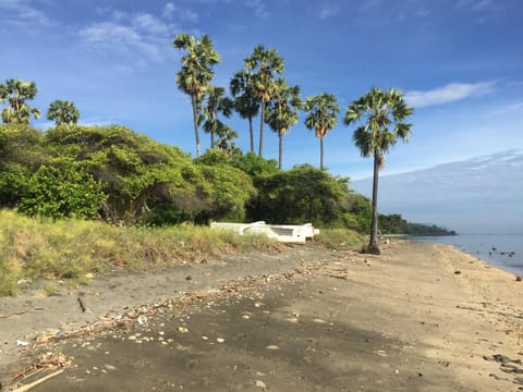 Villa Coral Pemuteran Villa in Bali