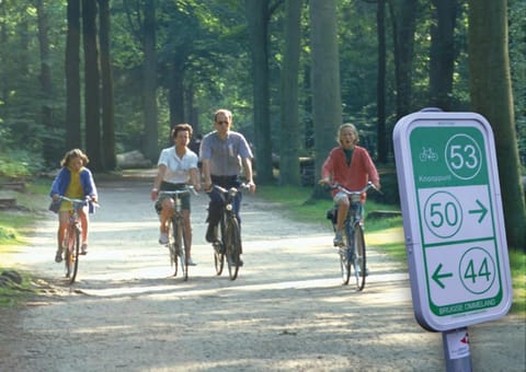 ibis budget Brugge Jabbeke Hotel in Flanders