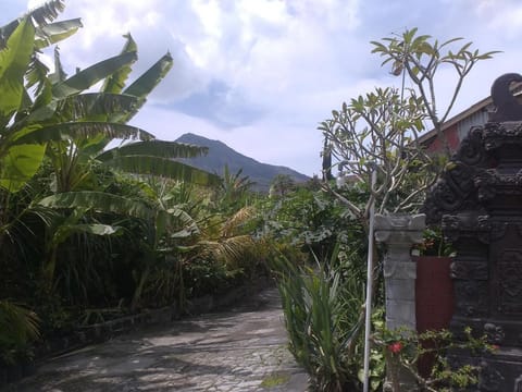Volcano 2 guesthouse Hotel in Karangasem Regency