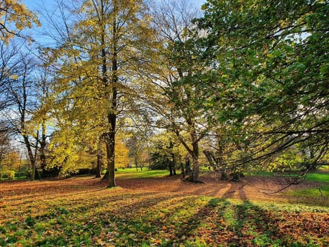 Wohnung nahe Ostsee Kühlungsborn Apartment in Mecklenburg-Vorpommern, Germany