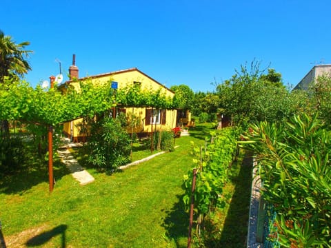 House 1037 Vacation rental in Fažana