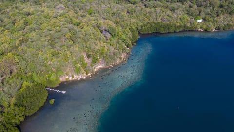 Menjangan Eco Lodge Vacation rental in Bali