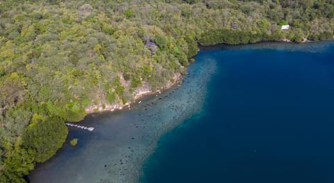 Menjangan Eco Lodge Vacation rental in Bali