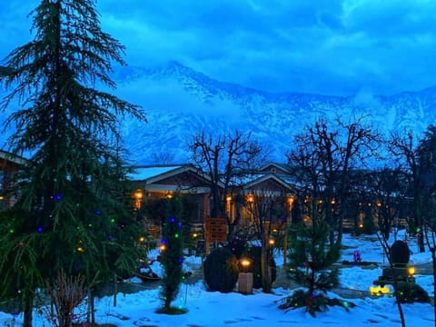 Property view