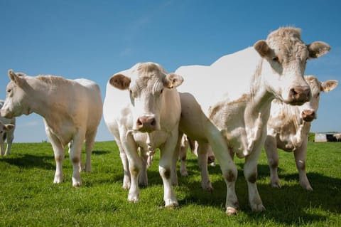 Beera Farmhouse Bed and Breakfast in West Devon District