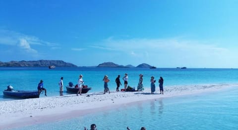 Celebbest kuta Apartment in Kuta