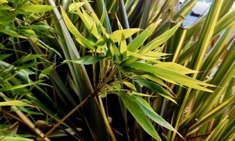 43 Degrees Bruny Island Apartment in South Bruny