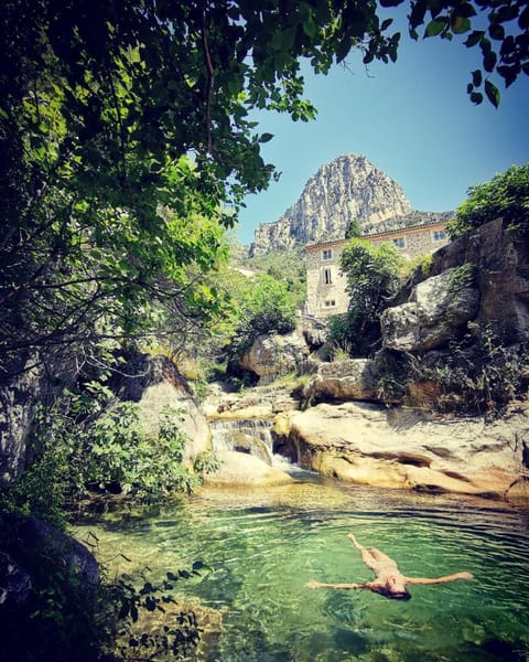 Le Moulin Camoula Bed and Breakfast in Vence