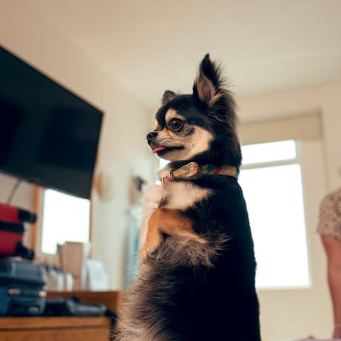 Hotel Klimt Hotel in Xalapa