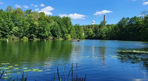 Wohnung in Zarnewanz nahe Ostsee Apartment in Mecklenburg-Vorpommern, Germany