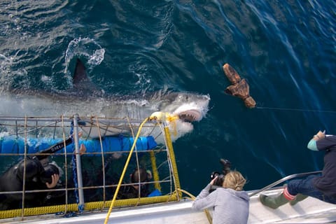 Benguela Lodge in Western Cape