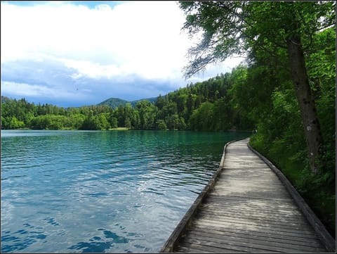 Mable app Apartment in Bled