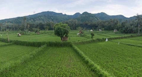 Tanaya Homestay Vacation rental in Abang