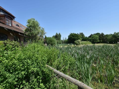 Ferienwohnung Im Heumond in Buschhagen Apartment in Mecklenburg-Vorpommern, Germany