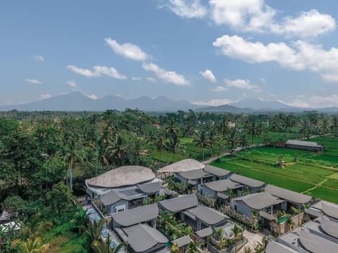 Daun Lebar Villas Hotel in Payangan