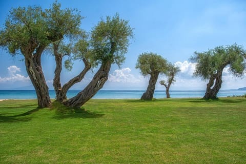 Domes Miramare, a Luxury Collection Resort, Corfu - Adults Only Hotel in Moraitika