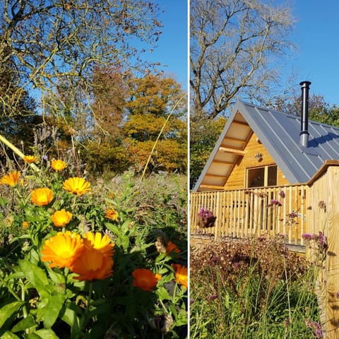 Domaine de la Fauvriere Bed and Breakfast in Normandy